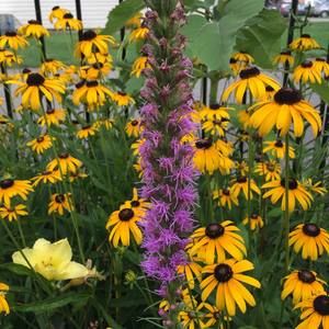 Meet your Posher, Roanna